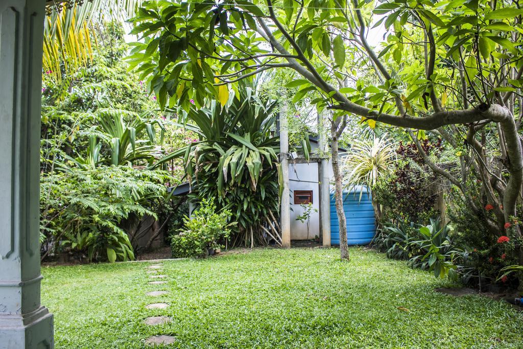 New Star Light Hotel Mirissa Ngoại thất bức ảnh